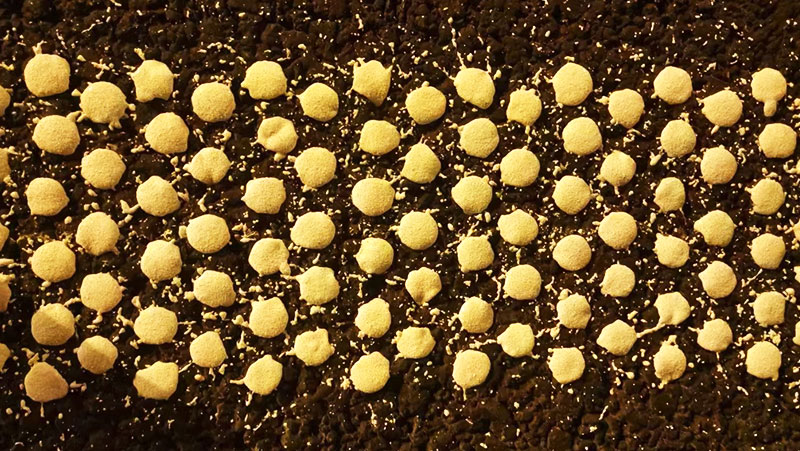 雙組份標線涂料生產(chǎn)廠家,雙組份標線涂料優(yōu)勢