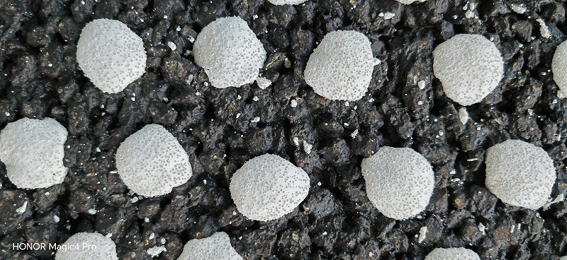 雙組份道路標線,道路標線施工,雙組份道路標線施工